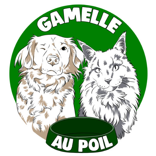 Gamelle Au Poil « Consultante en diététique canine et féline »