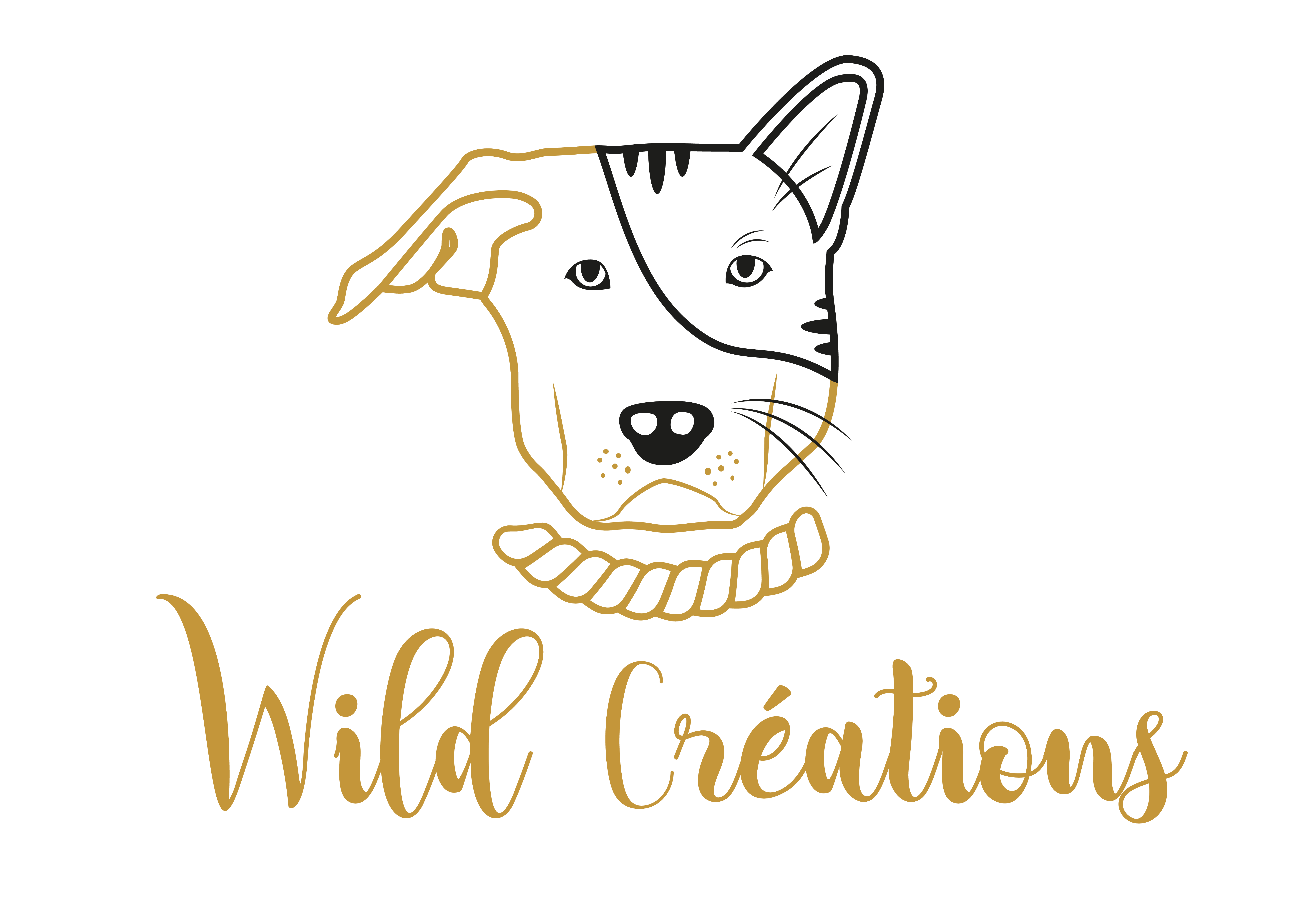 Interview : Chloé la créatrice de WILD CREATION