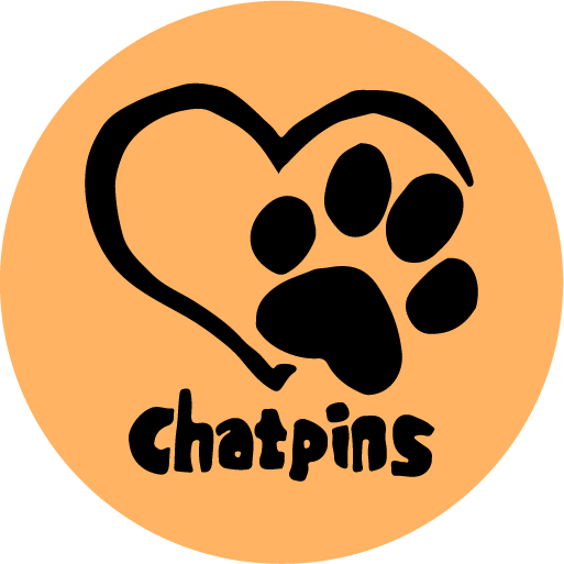 Chatpins