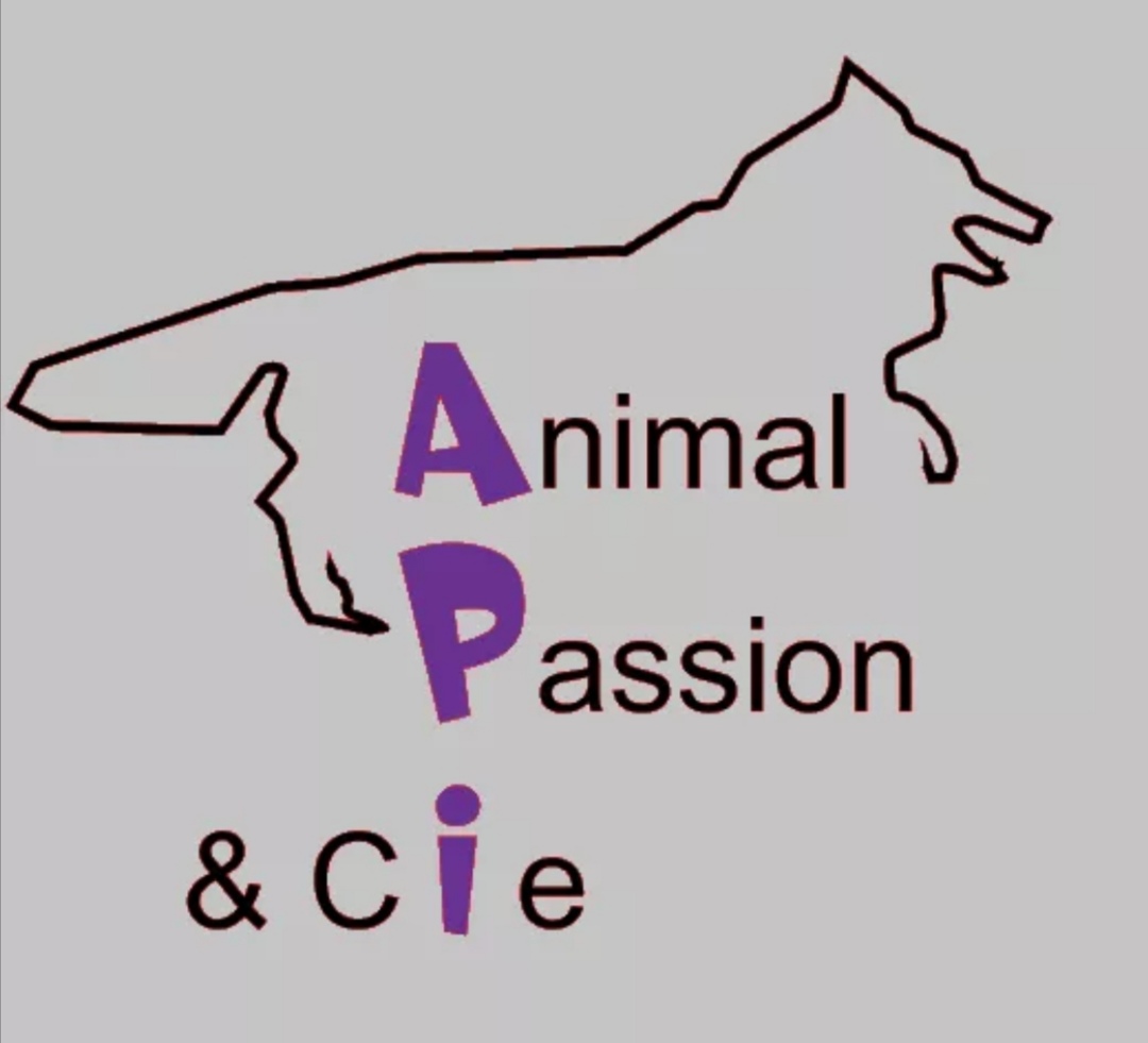 APi – Animal Passion & cie
