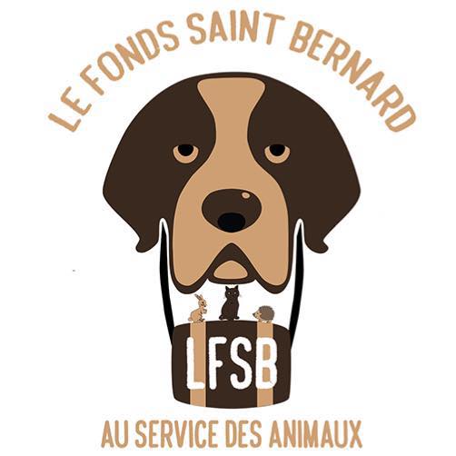 Article par Sandrine du Fonds Saint Bernard : Pourquoi adopter en association et comment cela se passe ? ( part 2 )